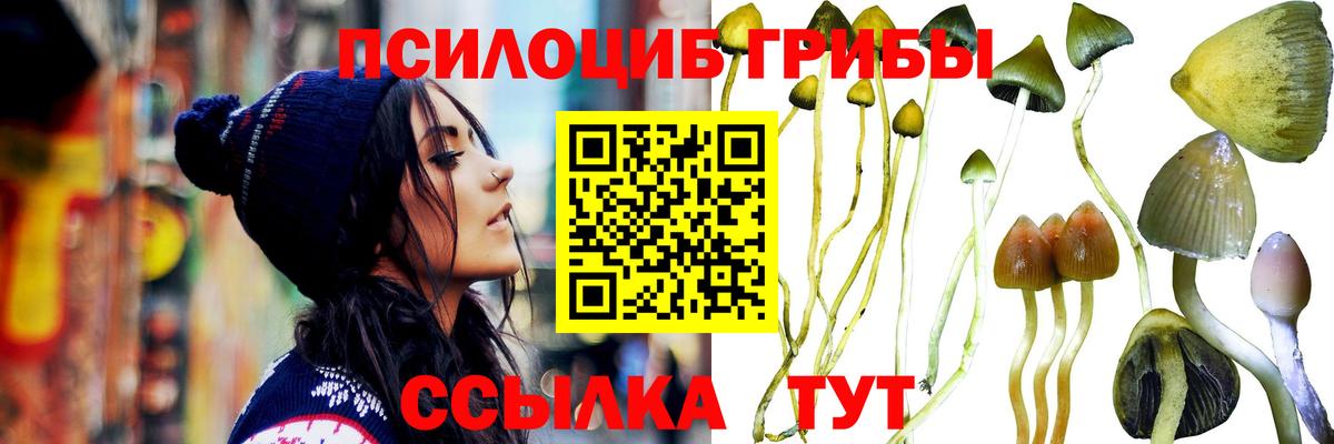 Псилоцибиновые грибы мицелий Ухта